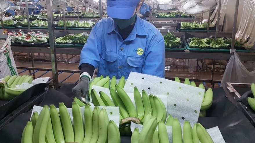 Agro-forestry-fishery exports poised to hit record high in 2025